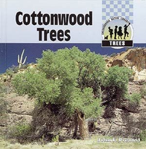Cottonwood Trees illustrated edition
