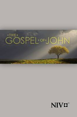NIV Gospel of John