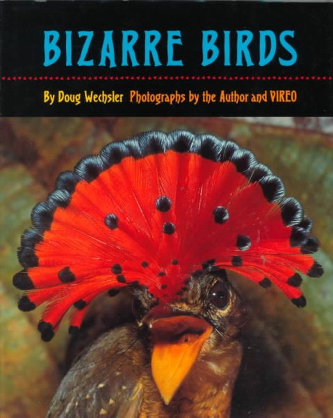 Bizarre Birds