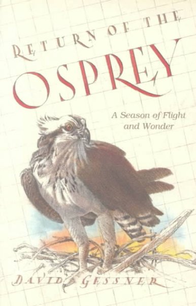 Return of the Osprey: A Season of Flight and Wonder