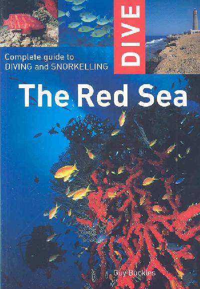 Dive the Red Sea: Complete Guide to Diving and Snorkeling