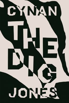 Dig