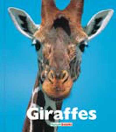 Giraffes