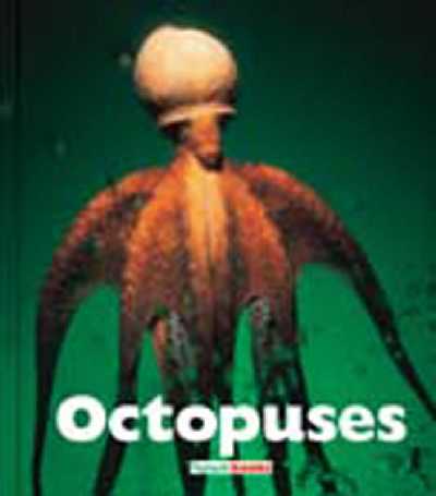 Octopuses