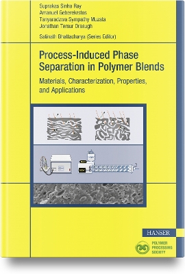 Process-Induced Phase Separation in Polymer Blends: Materials, Characterization, Properties, and Applications