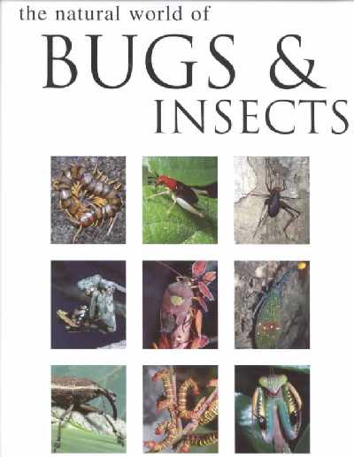Natural World of Bugs & Insects