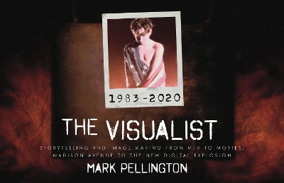 Visualist: Storytelling and Image Making From MTV to Movies, Madison Avenue to the New  Digital Explosion