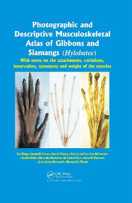 Photographic and Descriptive Musculoskeletal Atlas of Gibbons and Siamangs  (Hylobates): With Notes on the Attachments, Variations, Innervation, Synonymy and Weight  of the Muscles