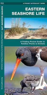 Eastern Seashore Life: A Folding Pocket Guide to Familiar Plants & Animals