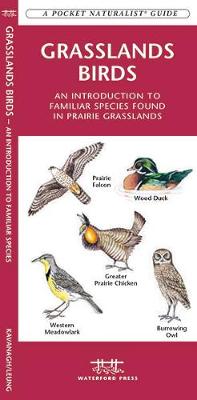Grasslands Birds: A Folding Pocket Guide to Familiar Species found in Prairie Grasslands
