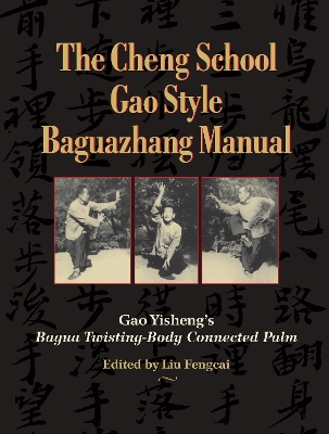 Cheng School Gao Style Baguazhang Manual: Gao Yisheng's Bagua Twisting-Body Connected Palm