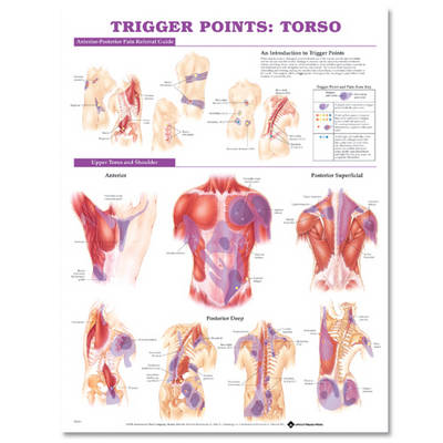 Trigger Points: Torso