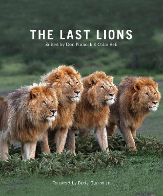 Last Lions