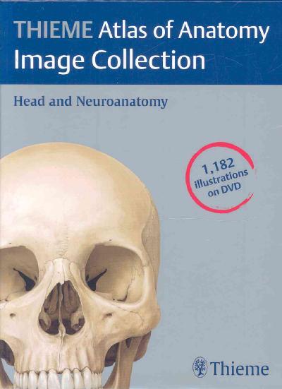 Thieme Atlas of Anatomy Image Collection--Head and Neuroanatomy First DVD ed.