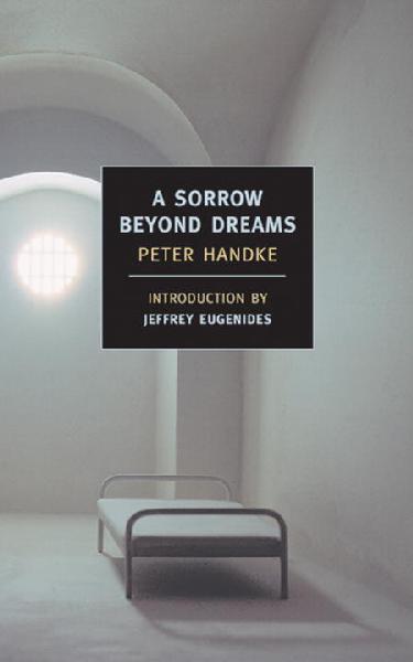 Sorrow Beyond Dreams: A Life Story