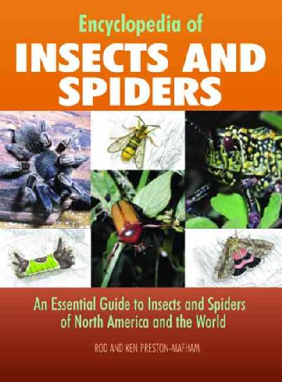 Encyclopedia of Insects and Spiders: An Essential Guide to Insects and Spiders of North America and the World illustrated edition