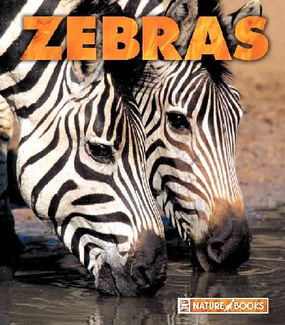 Zebras