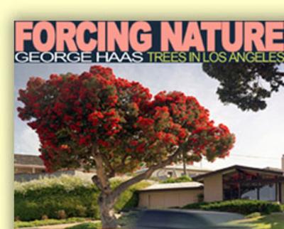 Forcing Nature: Tree in Los Angeles New edition