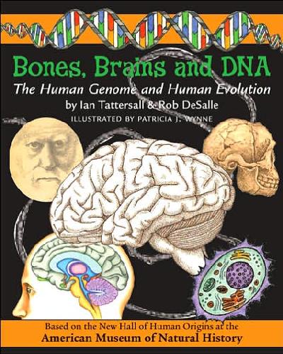 Bones, Brains and DNA Volume 1: The Human Genome and Human Evolution New edition