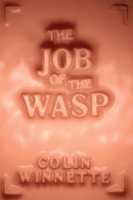 Job of the Wasp: A Novel