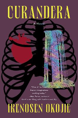 Curandera: A Novel