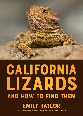 California Lizards and How to Find Them