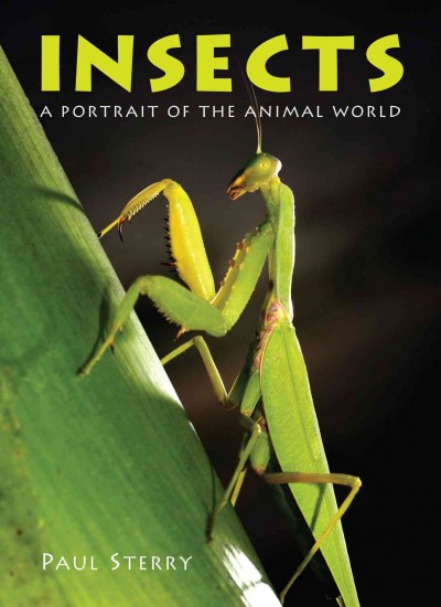 Insects: A Portrait of the Animal World