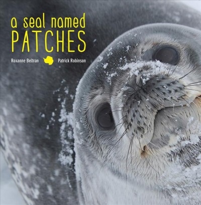 Seal Named Patches