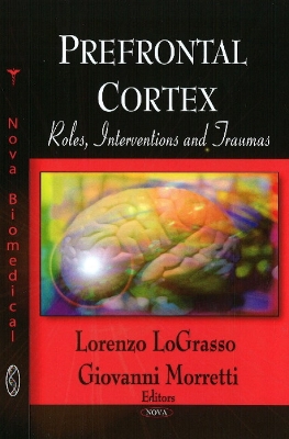 Prefrontal Cortex: Roles, Interventions & Traumas