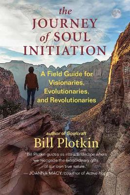 Journey of Soul Initiation: A Field Guide for Visionaries, Evolutionaries, and Revolutionaries
