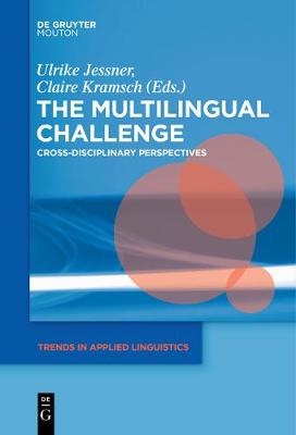Multilingual Challenge: The Challenges