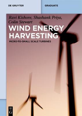 Wind Energy Harvesting: Micro-to-Small Scale Turbines