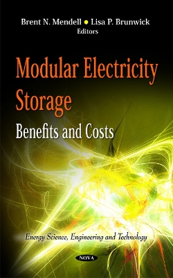 Modular Electricity Storage: Benefits and Costs