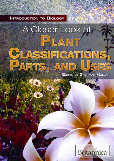 Closer Look at Plant Classifications, Parts, and Uses