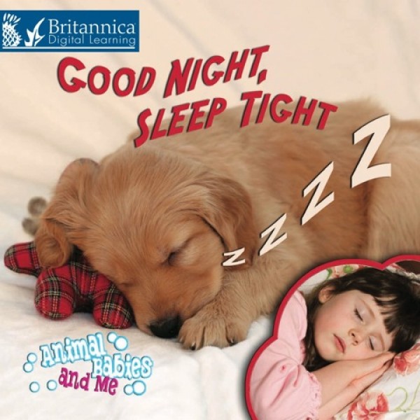 Good Night, Sleep Tight