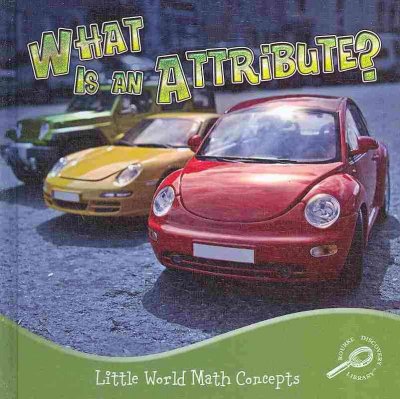 What Is an Attribute?