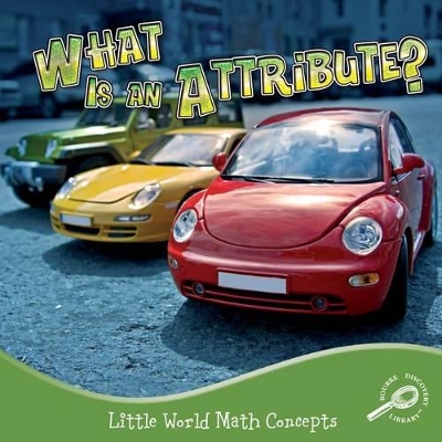 What Is an Attribute?
