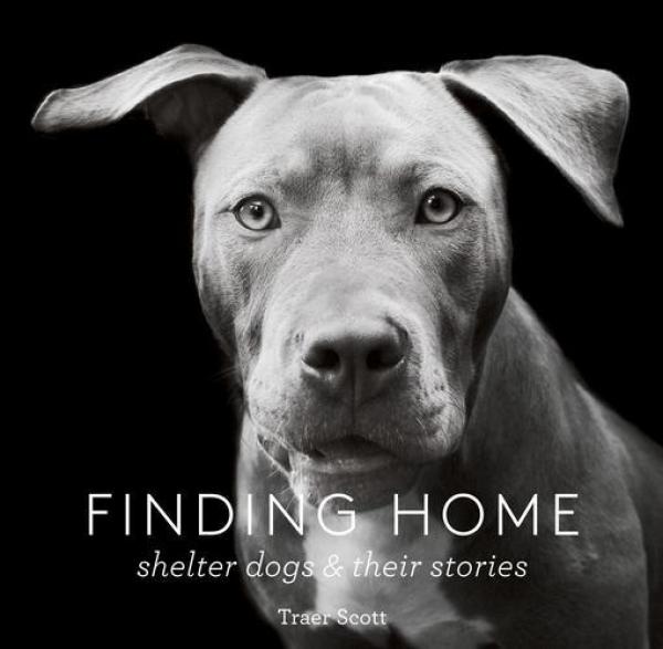 Finding Home: Shelter Dogs & Their Stories