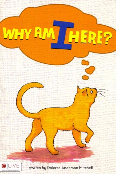 Why Am I Here?