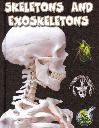 Skeletons and Exoskeletons