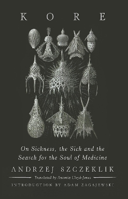 Kore: On Sickness, the Sick, and the Search for the Soul of Medici