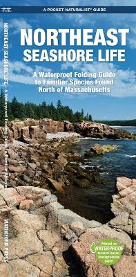 Northeast Seashore Life: A Folding Guide to Familiar Species Found North of Massachusetts 2nd ed.