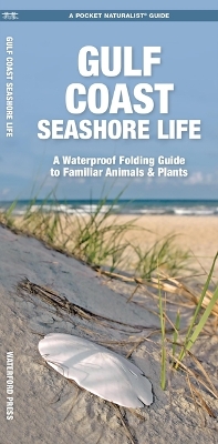 Gulf Coast Seashore Life: A Folding Guide to Familiar Animals & Plants 2nd ed.