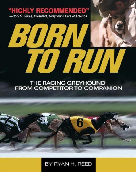 Born to Run: Racing Greyhound, from Competitor to Companion