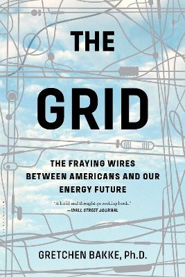 Grid: The Fraying Wires Between Americans and Our Energy Future