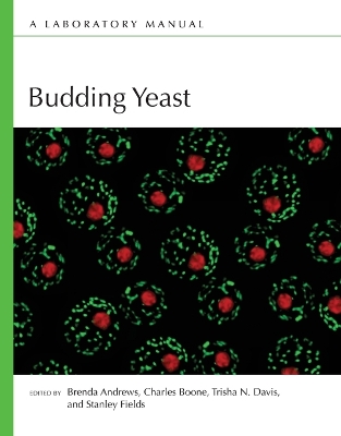 Budding Yeast: A Laboratory Manual
