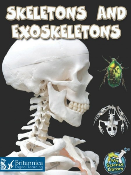 Skeletons and Exoskeletons
