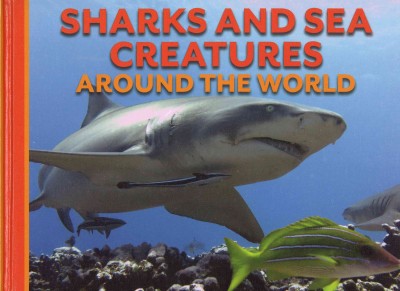 Sharks and Sea Creatures Around the World