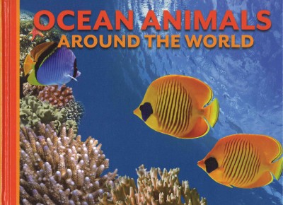 Ocean Animals Around the World