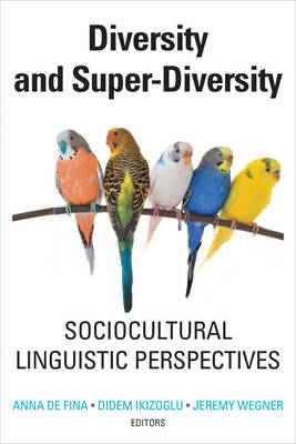 Diversity and Super-Diversity: Sociocultural Linguistic Perspectives